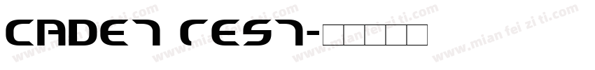 Cadet Test字体转换